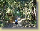Hiking-Woodside-Oct2011 (16) * 3648 x 2736 * (6.16MB)